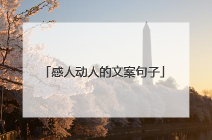 感人动人的文案句子
