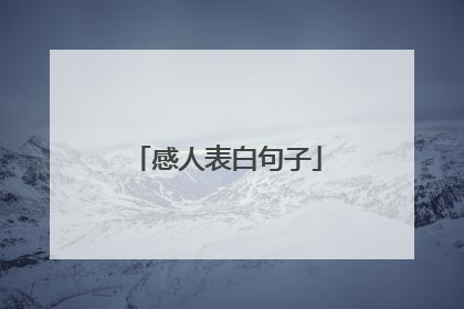 感人表白句子