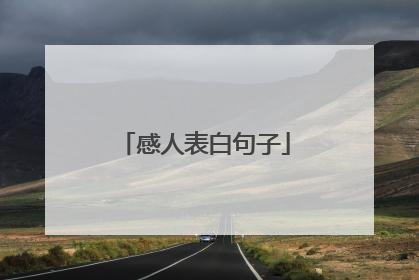 感人表白句子
