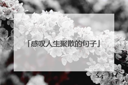 感叹人生聚散的句子