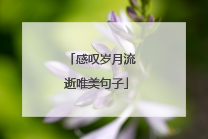 感叹岁月流逝唯美句子