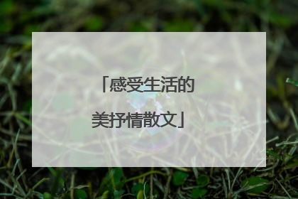 感受生活的美抒情散文
