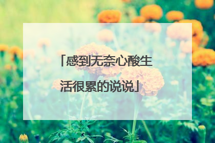感到无奈心酸生活很累的说说