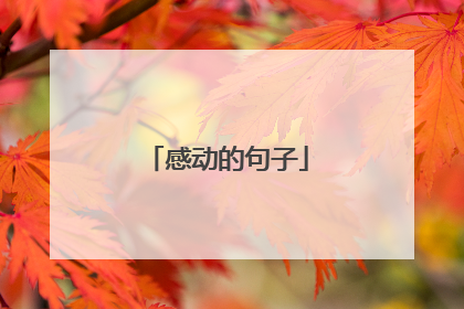 感动的句子