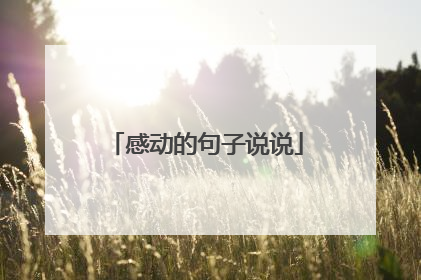 感动的句子说说