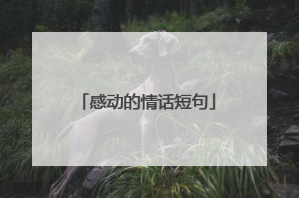 感动的情话短句