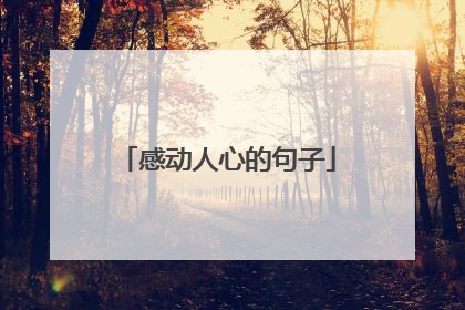 感动人心的句子