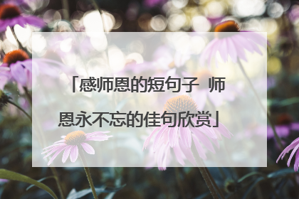 感师恩的短句子 师恩永不忘的佳句欣赏