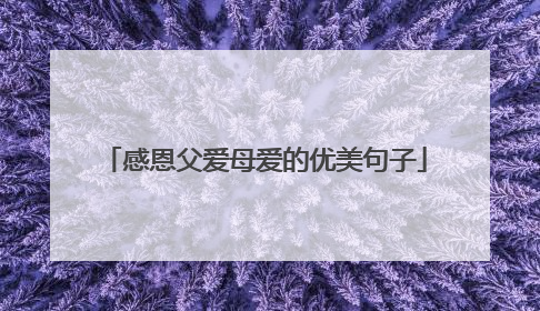 感恩父爱母爱的优美句子