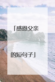 感恩父亲的短句子