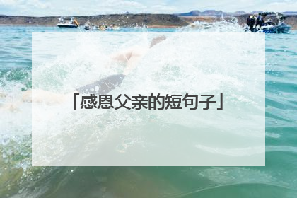 感恩父亲的短句子
