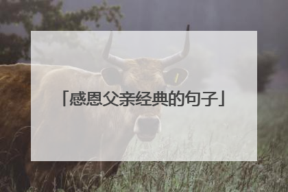 感恩父亲经典的句子
