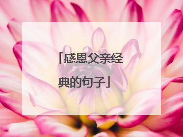 感恩父亲经典的句子