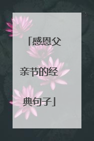 感恩父亲节的经典句子