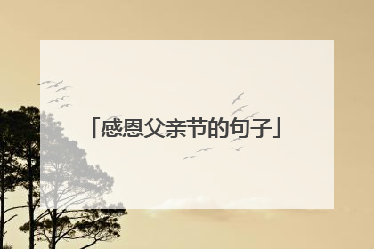 感恩父亲节的句子