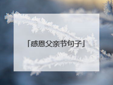 感恩父亲节句子
