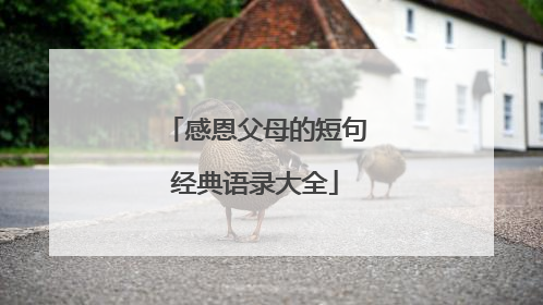 感恩父母的短句经典语录大全