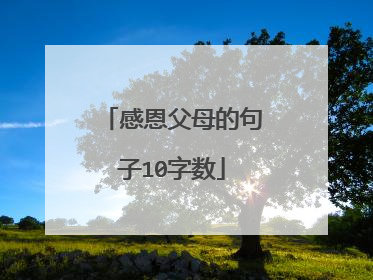感恩父母的句子10字数