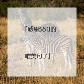 感恩父母的唯美句子