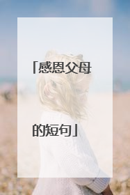 感恩父母的短句