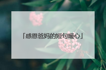 感恩爸妈的短句暖心