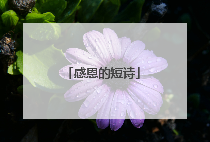 感恩的短诗
