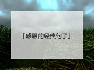 感恩的经典句子