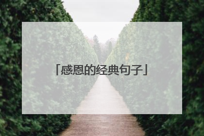 感恩的经典句子