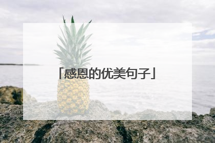 感恩的优美句子