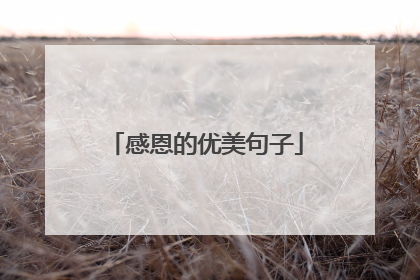 感恩的优美句子