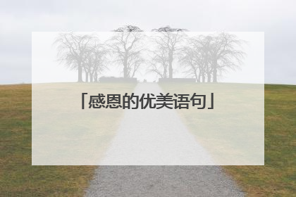 感恩的优美语句