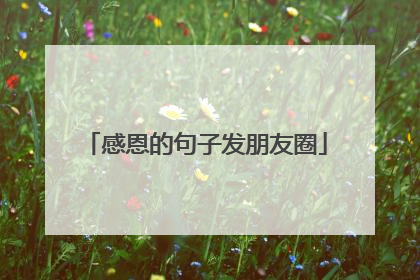 感恩的句子发朋友圈