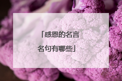 感恩的名言名句有哪些