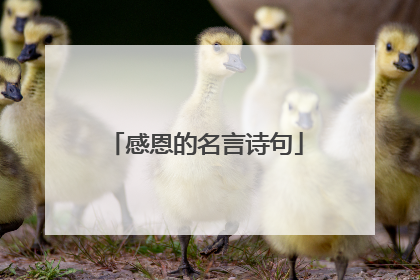 感恩的名言诗句
