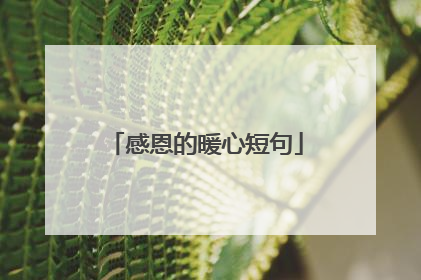 感恩的暖心短句