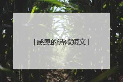 感恩的诗歌短文