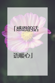 感恩的话语暖心