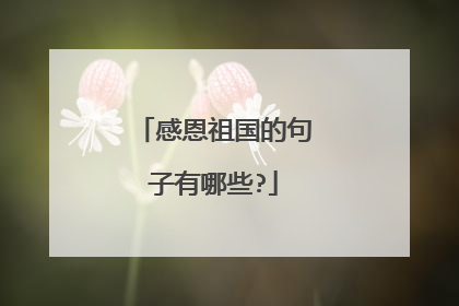感恩祖国的句子有哪些?