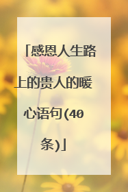 感恩人生路上的贵人的暖心语句(40条)