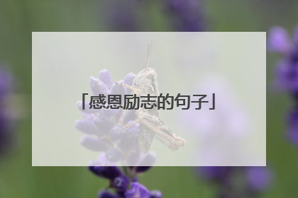 感恩励志的句子