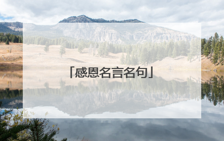 感恩名言名句
