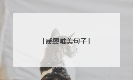 感恩唯美句子