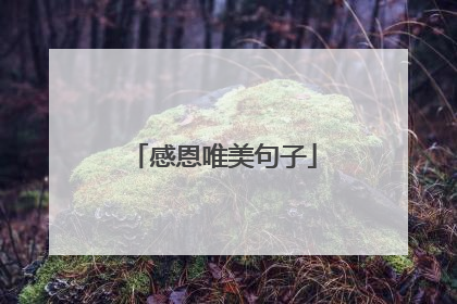感恩唯美句子