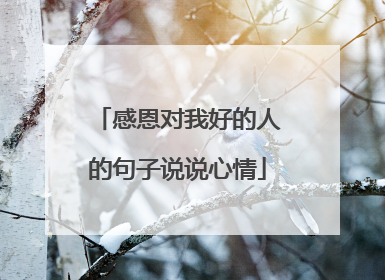 感恩对我好的人的句子说说心情