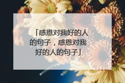 感恩对我好的人的句子,感恩对我好的人的句子