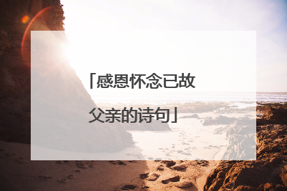 感恩怀念已故父亲的诗句