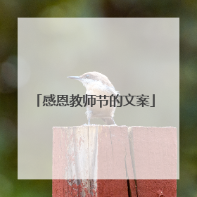 感恩教师节的文案