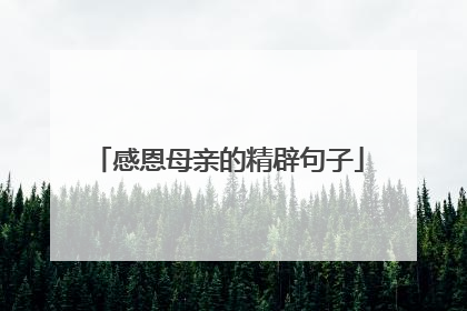 感恩母亲的精辟句子