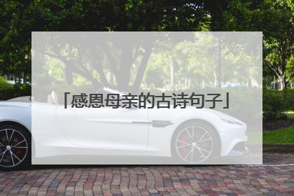 感恩母亲的古诗句子