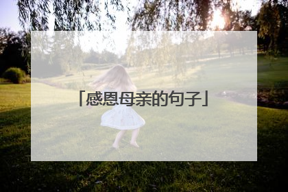 感恩母亲的句子